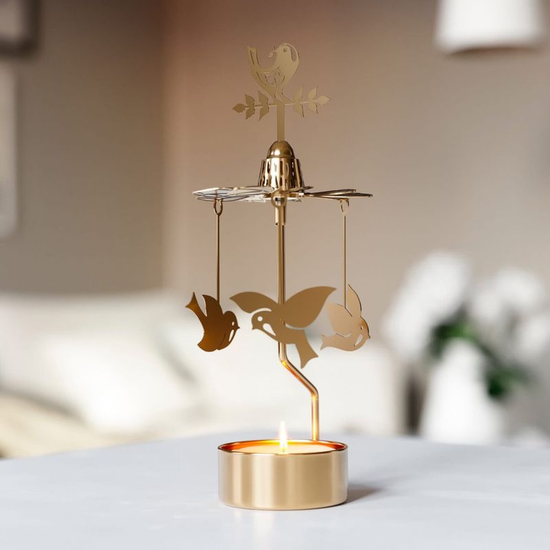 Jette Frölich, bird go round, gull