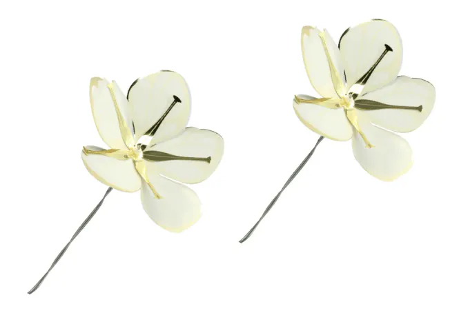 Hovedbilde Jette Frölich, dekorblomster hvit og gull, ...