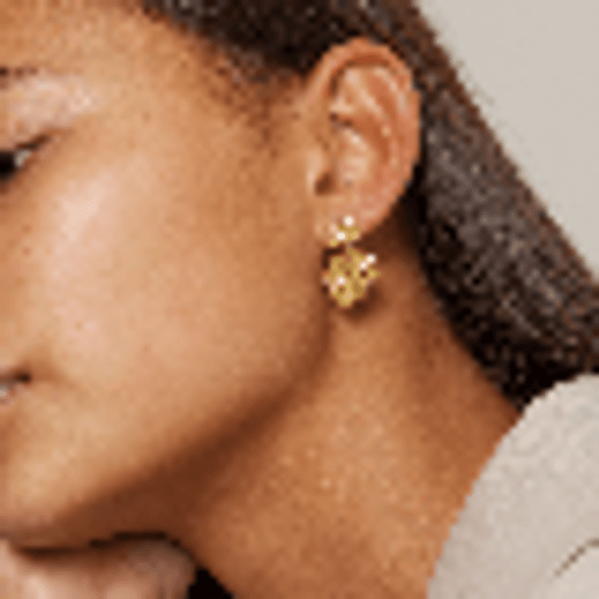 Hovedbilde Enamel Copenhagen Earrings Windy small 